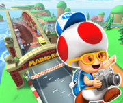 MKT-GCN-Ponte-dei-Funghi-R-icona-Toad-turista.png